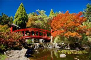 Royal Tasmanian Botanical Gardens